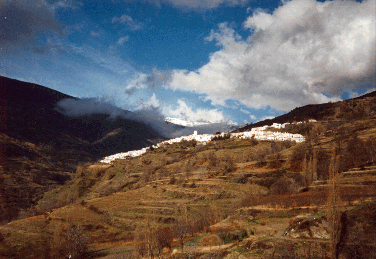 photos/40.gif