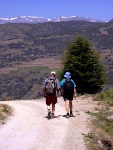 la-sierra-walk-225x300.jpg