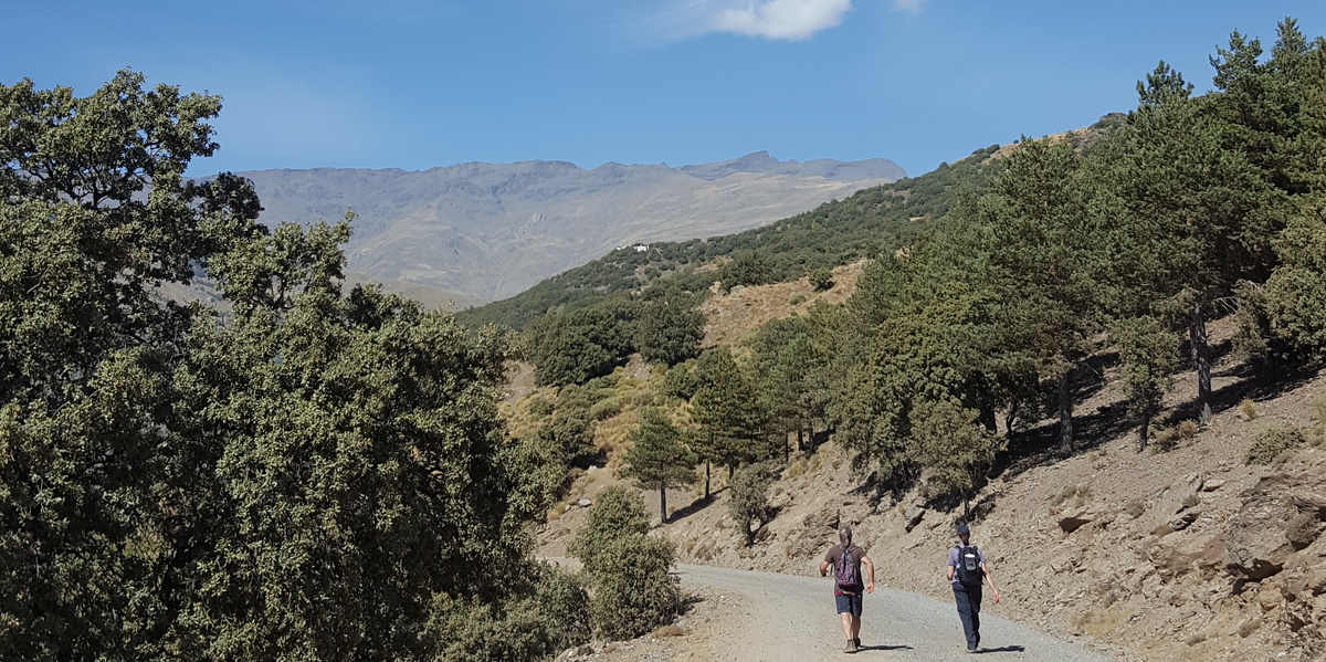 sierra nevada walks